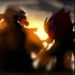 Death and the Ninja