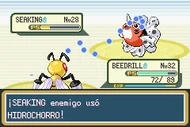 Hidrochorro RFVH