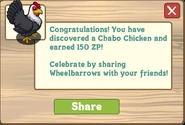 Chabo chicken