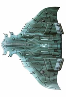 Manta6