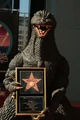 Godzilla star jan5
