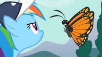 Rainbow Dash "Can't hear you" S2E07