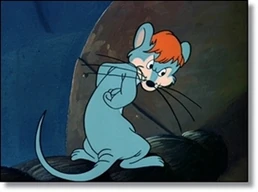 Rat