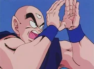 Dbz20-13