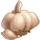 Ingredient-Garlic