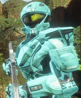 Carolina Halo 4