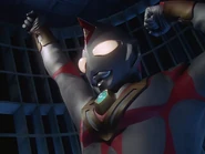 Terranoid321