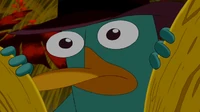 WPp2 Perry Found