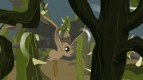 Bat using its sonar S2E7