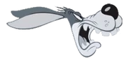 BD
