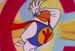 Conrad Cockatoo