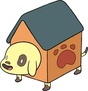 Dog House