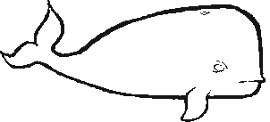 SpermWhale