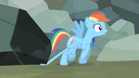 Rainbow Dash's feather is trapped S2E7