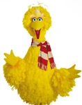 Big Bird scarf