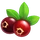Ingredient-Cranberry