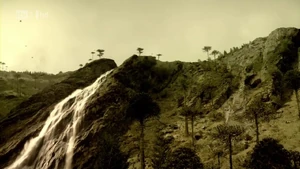 4x1cretaceous