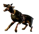 CerberusUC