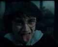 Cute harry.jpg