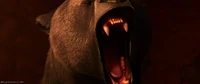 Bearroaring