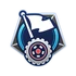 Ctf-flag-driver