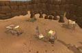 Monkey camp attacked.png