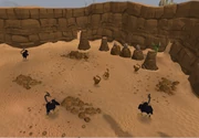 The site of the colony