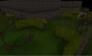 WOM's POH entrance