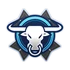 Bonus-bulltrue