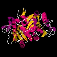 4H17.pdb