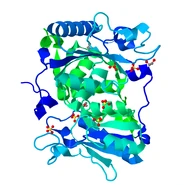 4H17.pdb1