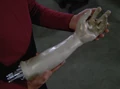 Data's arm.jpg