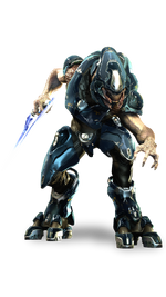 Storm Sangheili