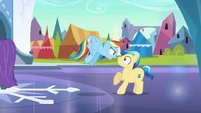 Rainbow Dash intimidates stallion S3E2