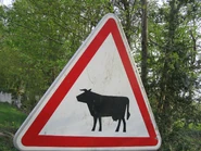 A15a1 2