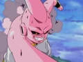 Buu Budokai 3