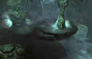 Forelhost Spidercave