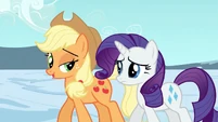 Applejack and Rarity after leaving the Crystal Empire S3E2