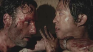 Twd305-001617
