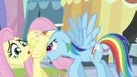 Rainbow Dash moving Fluttershy along S3E2