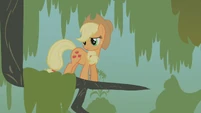 Applejack stuck in a tree branch S1E09