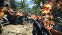 Far Cry 3-20