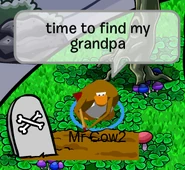 Funny 3