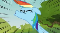 Rainbow Dash sneezing S3E03