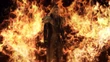 Sephiroth in Flammen