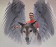 Kassem G Wolf