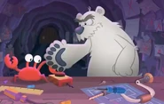 Paw