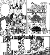 Toriko powering Solar Turtles