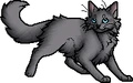 Brightheart.apprentice.alt2