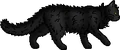 Graystripe.loner